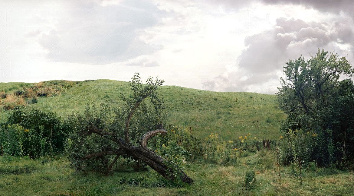 Beate GÜTSCHOW, LS #6
1999, Lambda print on aluminium