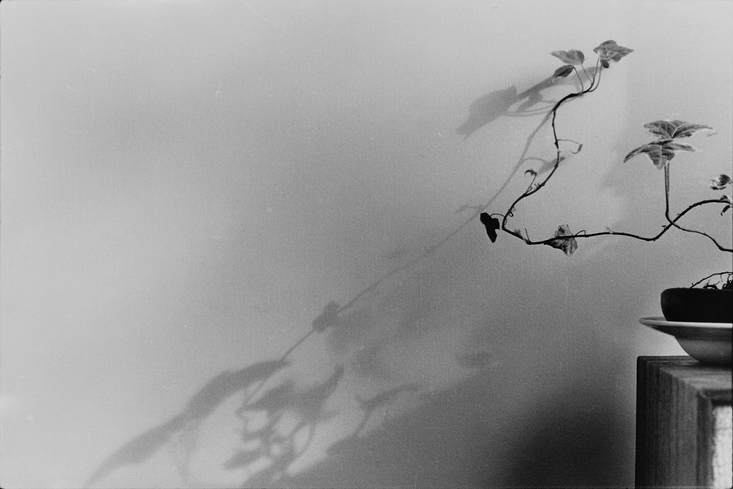 Mario FONSECA, Untitled (from the series Calle Suecia)