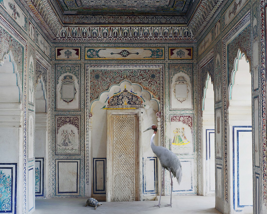 Karen KNORR, Amrita's Message, Nagaur Fort, Nagaur, from 'India Song' series
2012, Pigment print on Hannemuhle Fine Art paper