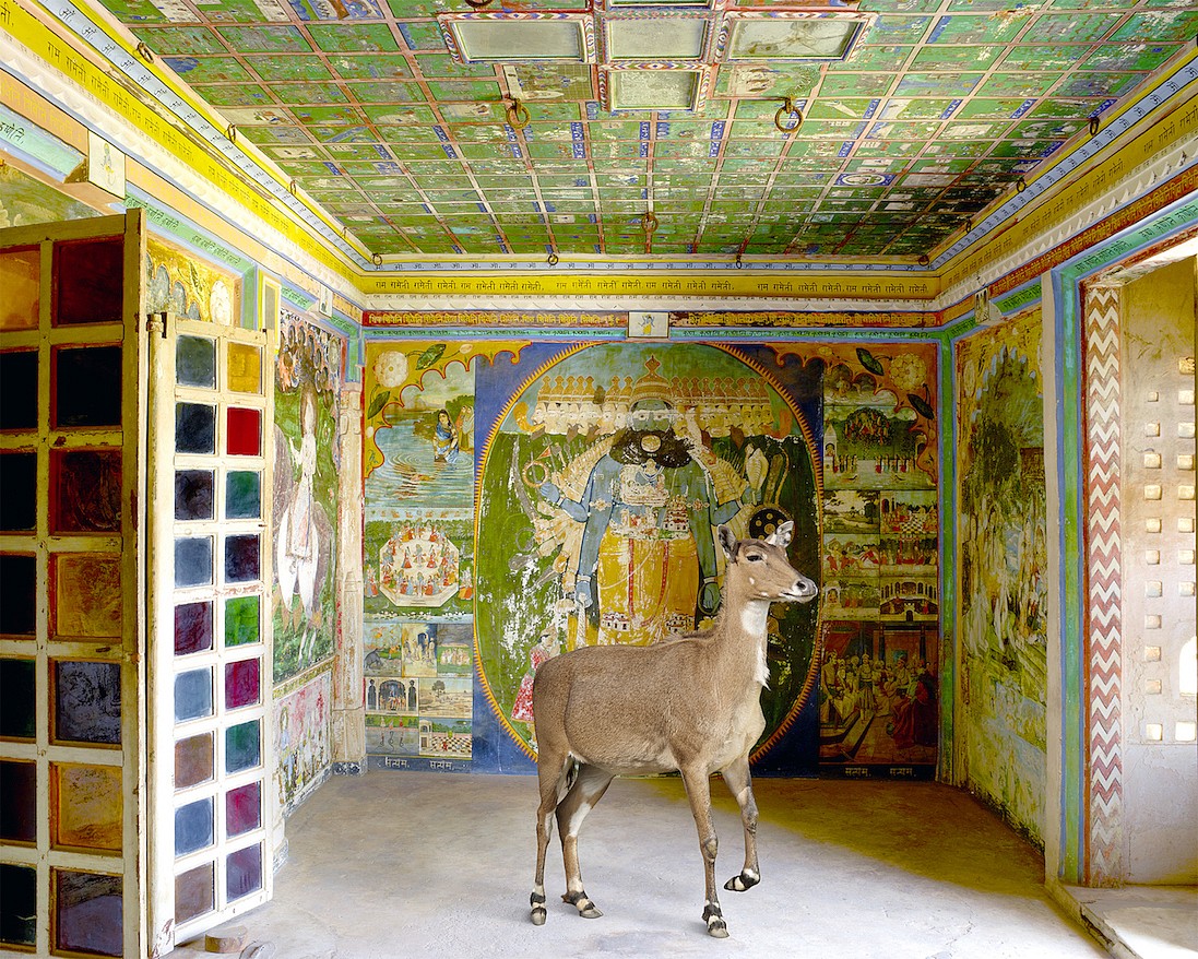 Karen KNORR, Brahma's Friend, Aam Khas, Dungarpur, from 'India Song' series
2014, Pigment print on Hannemuhle Fine Art paper