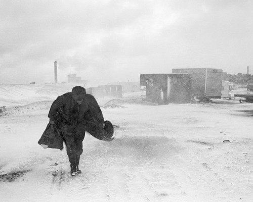 Cookie in the snow, Seacoal Camp, Lynemouth, Northumbria, 1984 © Chris Killip Photography Trust/Magnum Photos